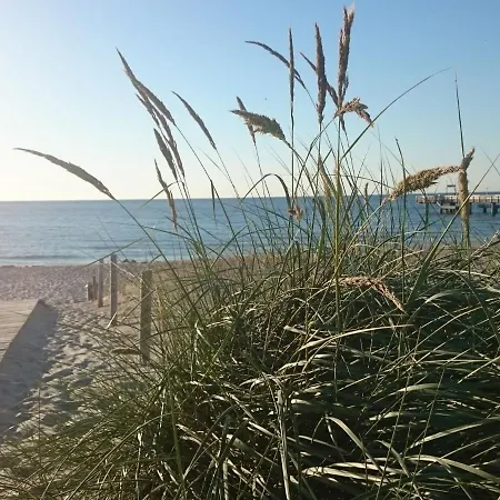 Schoene Wohnung Mit Garten In Rerik Nahe Ostseestrand 아파트 레리크