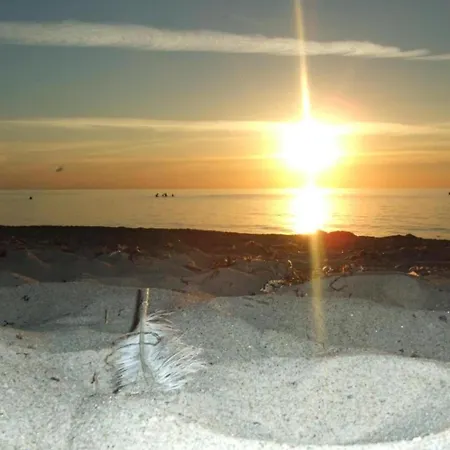 In Nahe Ostseestrand