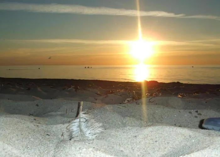 In Nahe Ostseestrand